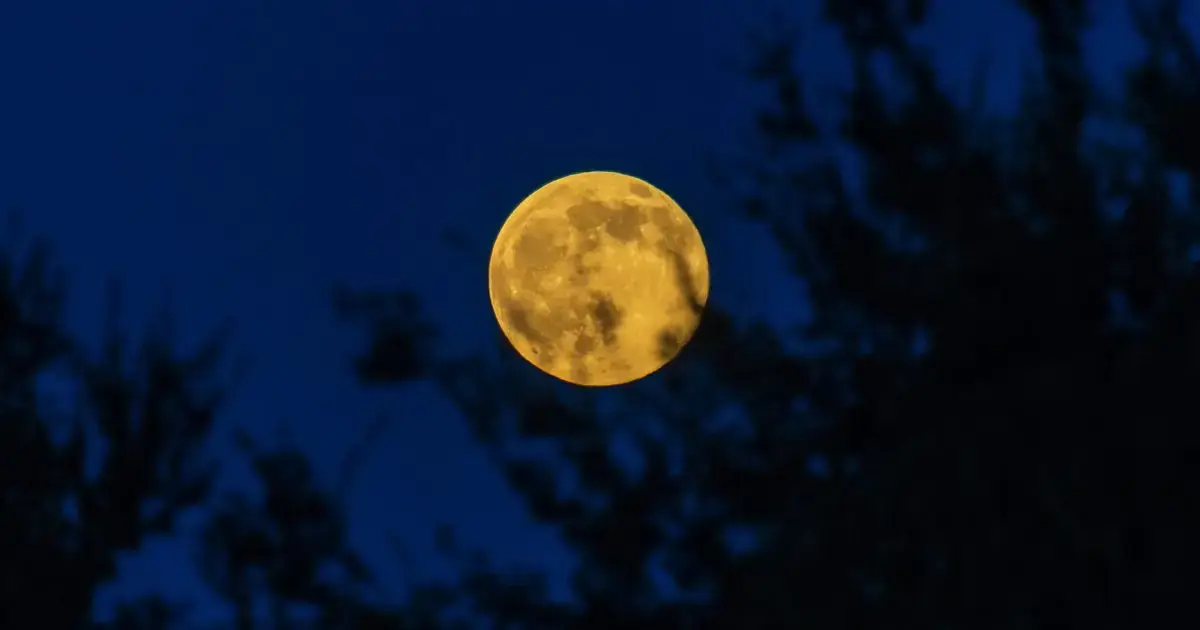 Calendario de Lunas Llenas 2026: Fases Lunares y Eventos Celestiales