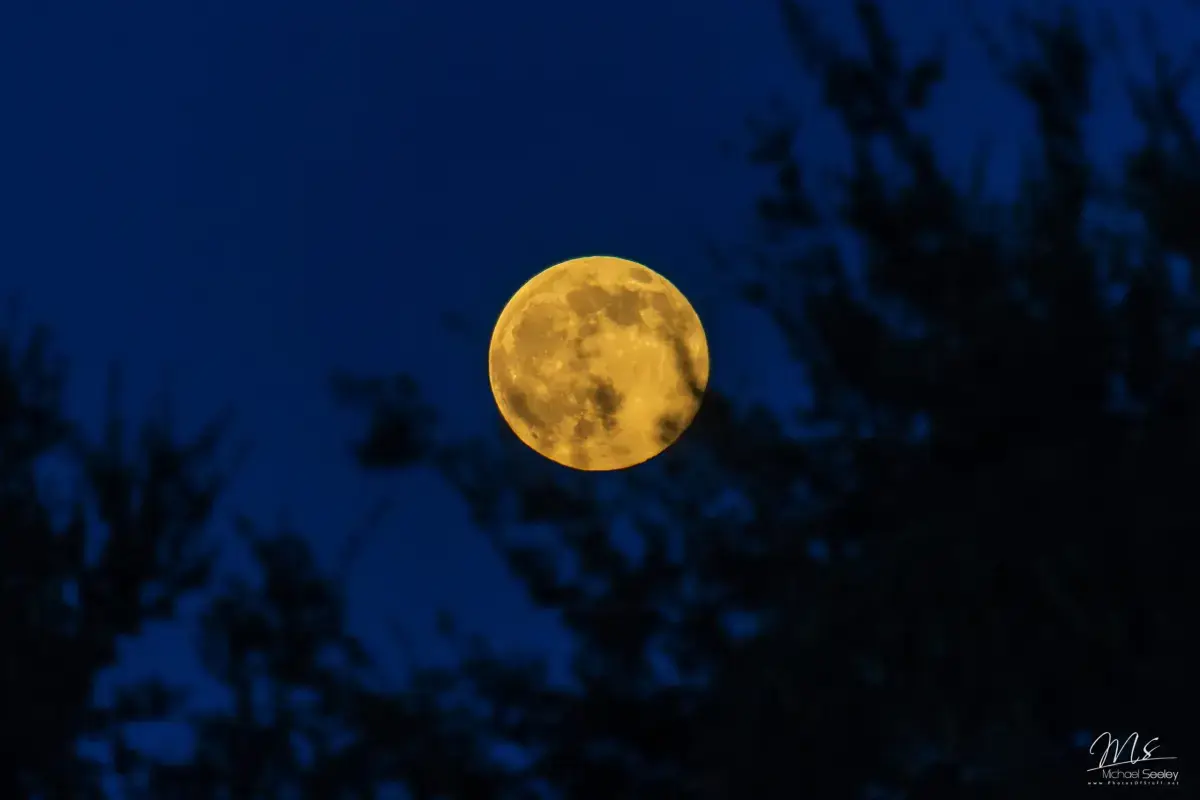 Calendario de Lunas Llenas 2026: Fases Lunares y Eventos Celestiales — Fases Lunares y la Formación de la Luna Llena