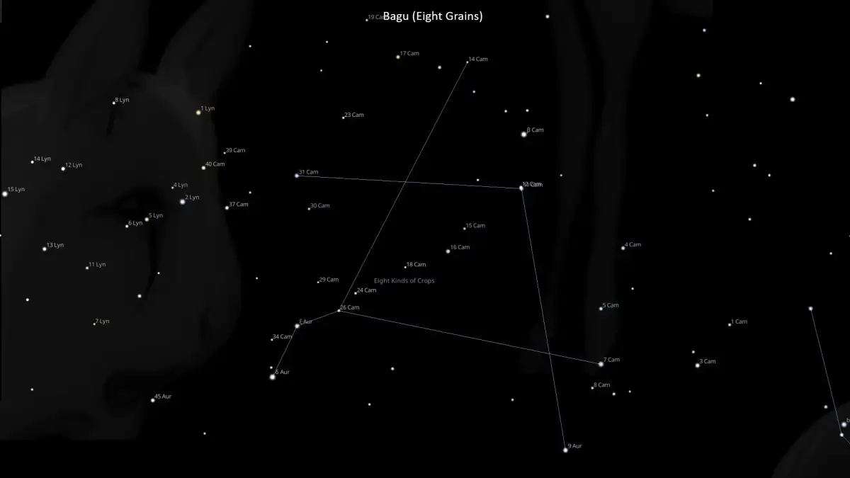 La Constellation de Bagou : Les Étoiles des Huit Céréales