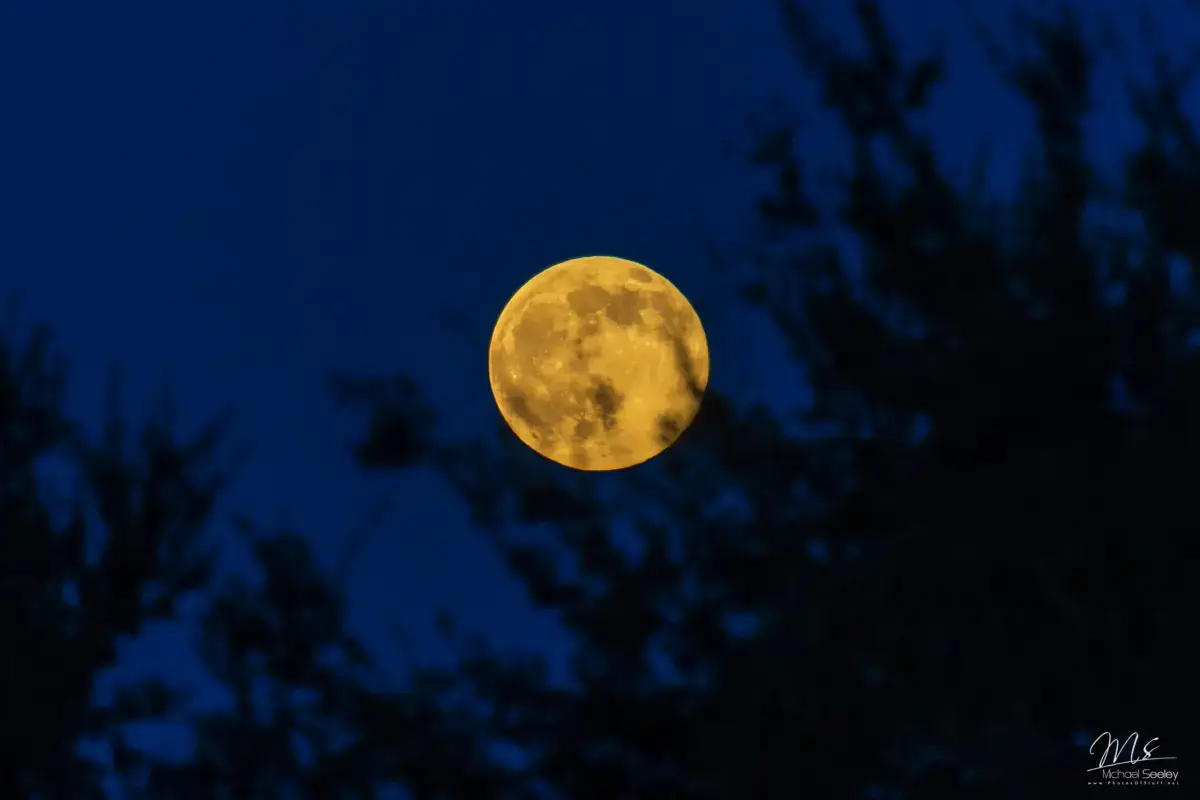 Venere, Luna Crescente e Spica: la sera del 13 settembre sull'orizzonte occidentale — Perché questo allineamento è speciale?